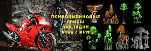 скорость Ладушкин