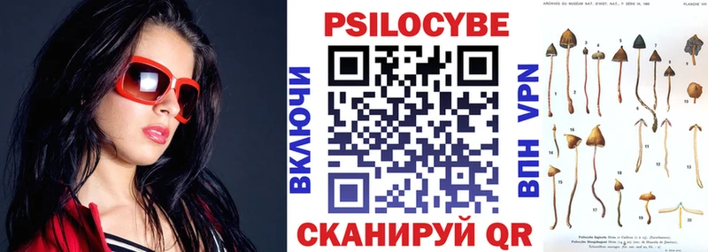 продажа наркотиков  Никольское  Псилоцибиновые грибы мицелий 